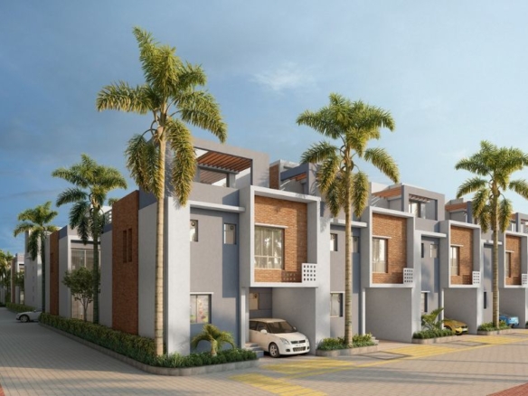 DTC Palm Grove