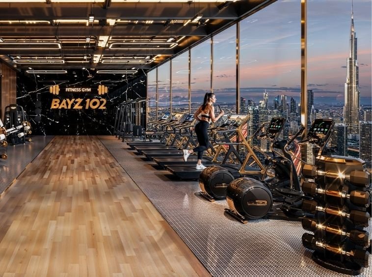 Bayz 102 by Danube